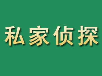 中原市私家正规侦探